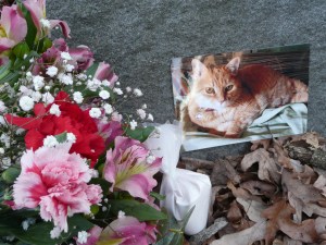 Judas Celebration of Life Service